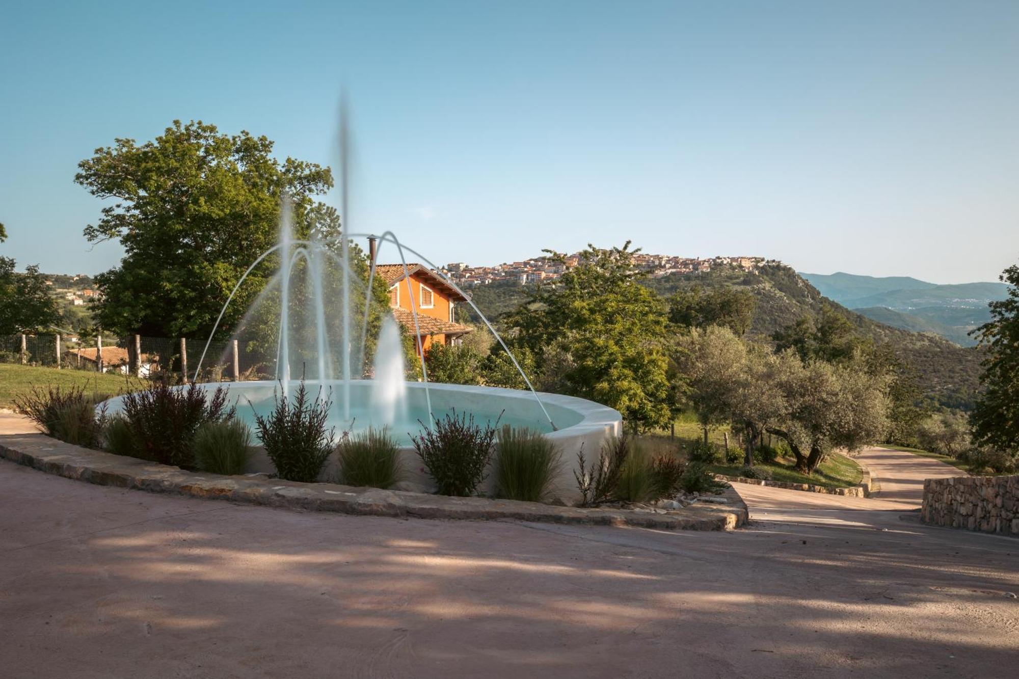 Green Park Bio Agriturismo Guest House Cilento National Park Bagian luar foto